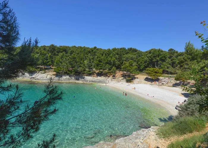 Apartment In Pula - Istrien 11443 Apartman